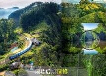 哥伦比亚世界杯球员名单-哥伦比亚世界杯球员名单，星光熠熠的绿茵战场